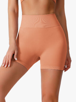 Seamless Comfort High Waist Active Shorts